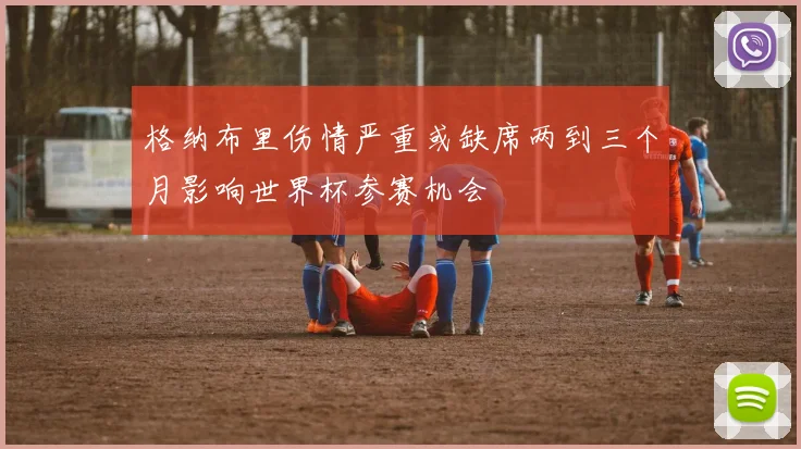 格纳布里伤情严重或缺席两到三个月影响世界杯参赛机会