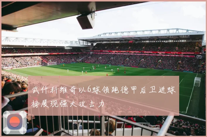 武什科维奇以6球领跑德甲后卫进球榜展现强大攻击力