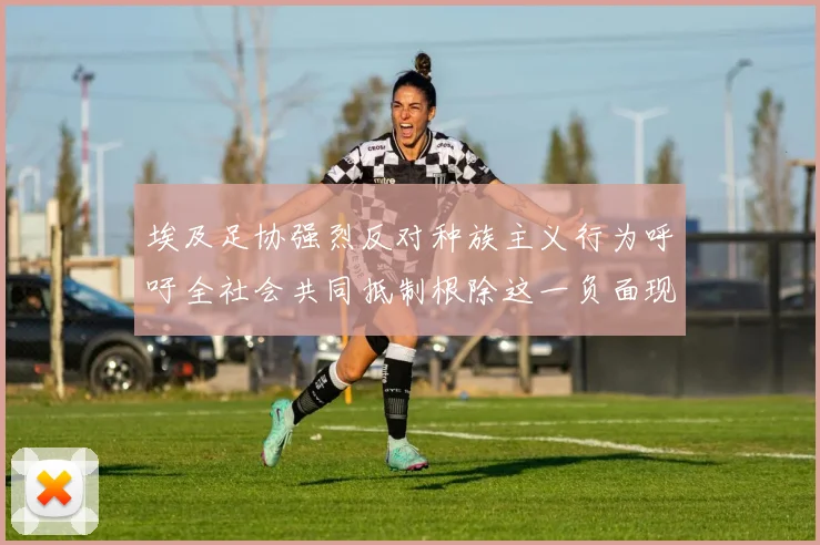 埃及足协强烈反对种族主义行为呼吁全社会共同抵制根除这一负面现象