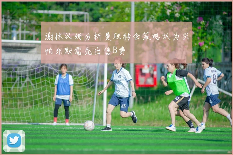 谢林汉姆分析曼联转会策略认为买帕尔默需先出售B费